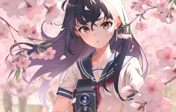 Girl, spring, camera, schoolgirl, flowering