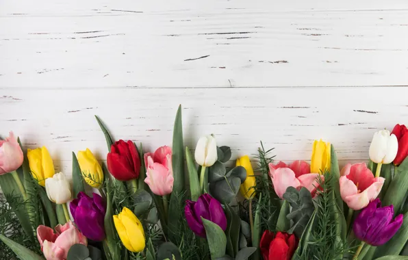 Picture flowers, background, colorful, tulpags