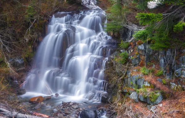 Picture forest, trees, squirt, river, stones, waterfall, stream