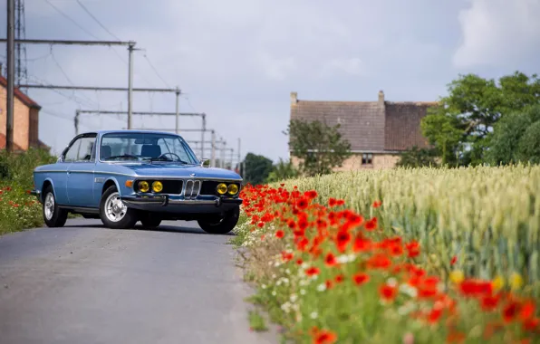 Road, BMW, Maki, 1971, Lights, Classic car, BMW 3.0 CSi (E9)