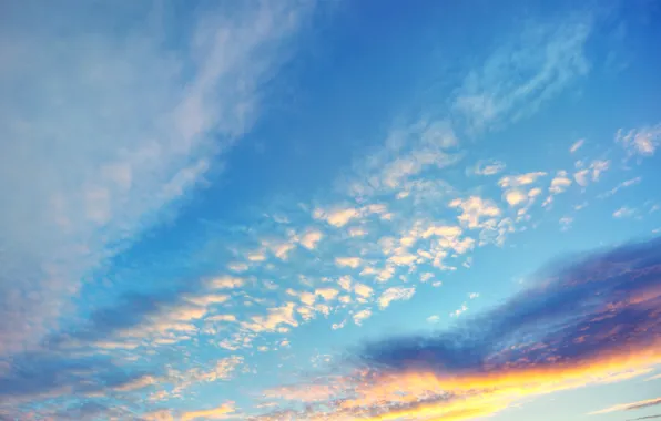 Sunset, the evening, the sky. clouds