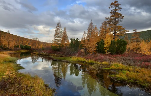 Autumn, forest, clouds, reflection, river, hills, shore, vegetation