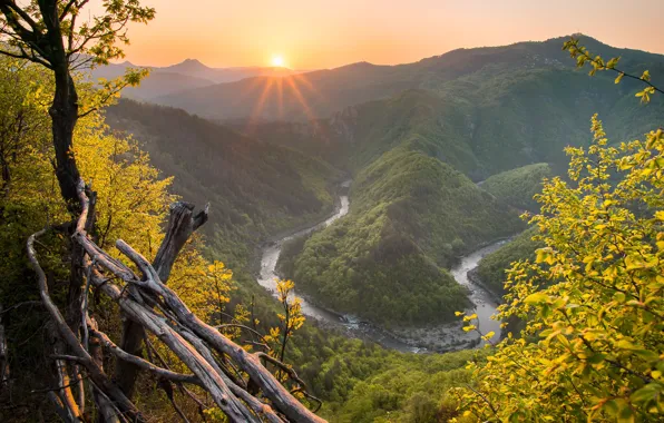 Picture autumn, the sun, mountains, fog, river, hills, foliage, height