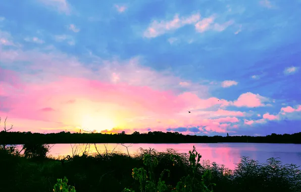 Sky, Sun, Water, Sunrise, Dawn, Morning, Lake, Trees