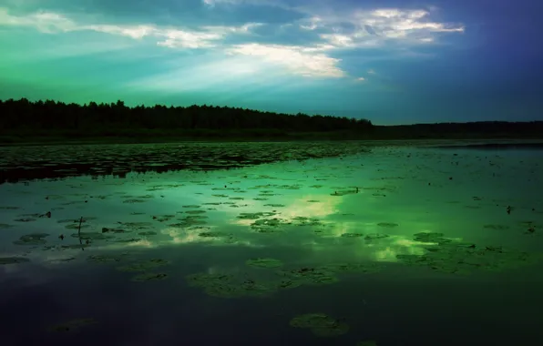 Forest, the sky, clouds, rays, lake, surface, reflection, dawn