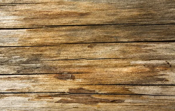 Wall, wood, tables, varnish