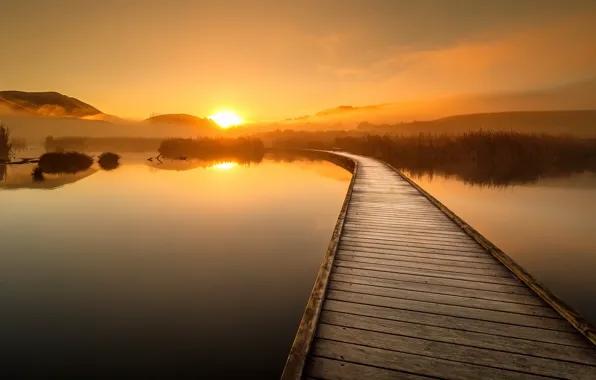 Picture sunset, bridge, nature, lake
