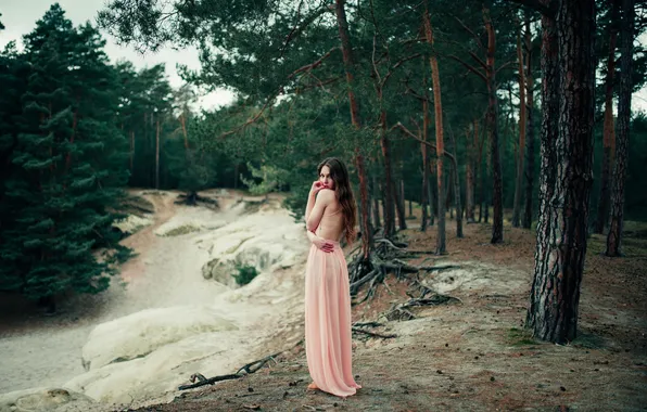 Picture forest, girl, dress