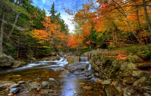 Autumn, forest, trees, stream, stones, waterfall