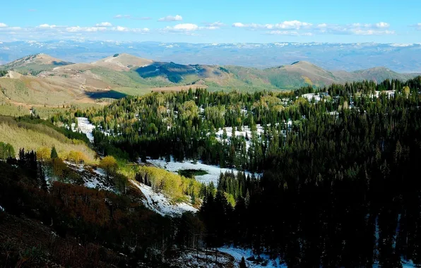 The sky, snow, trees, landscape, nature, mountains. forest
