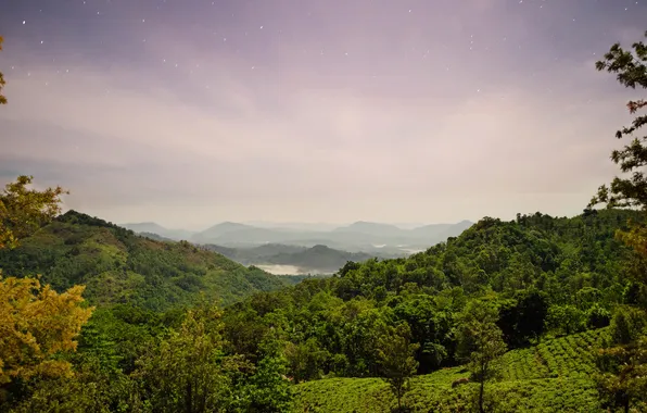 Field, forest, mountains, nature, island, panorama, Sri Lanka