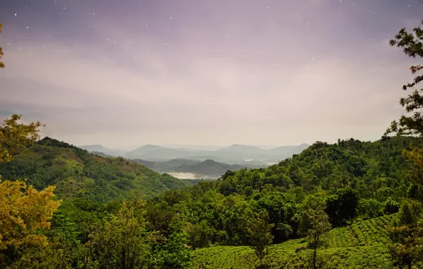 Mountains, nature, field, island, panorama, forest, Sri Lanka
