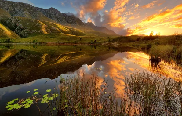 Picture the sky, grass, water, the sun, clouds, lake, Mountains