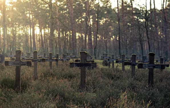Picture background, crosses, cemetery