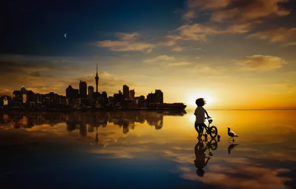 The sky, water, clouds, light, sunset, bike, the city, reflection