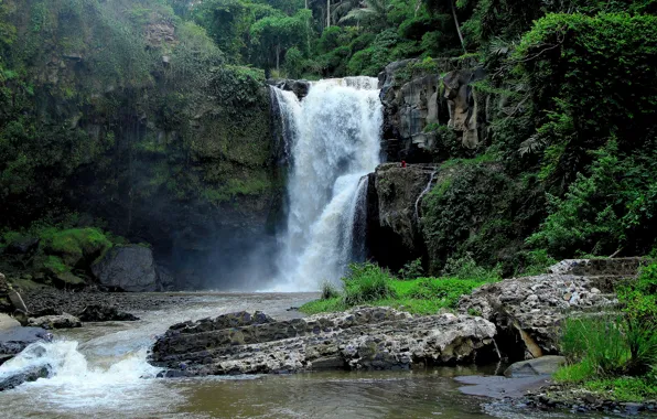Forest, river, rocks, waterfall, jungle, Bali, Indonesia, Bali
