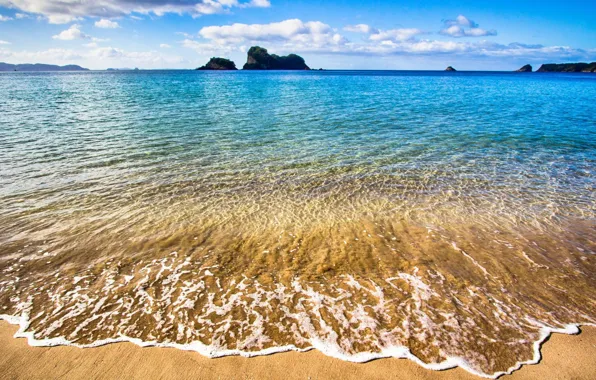 Beach, water, transparency, the ocean, beach, peninsula, Coromandel, New-Zealand
