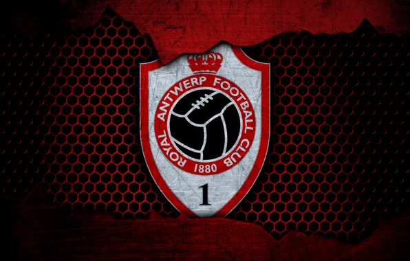 Wallpaper, sport, logo, football, Antwerp
