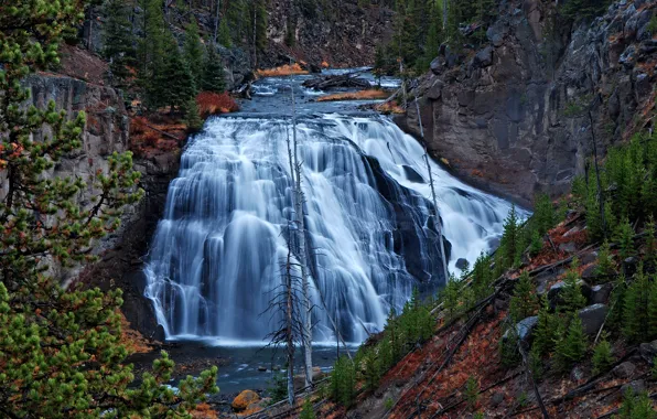 Trees, river, rocks, waterfall, stream, Wyoming, USA, Yellowstone