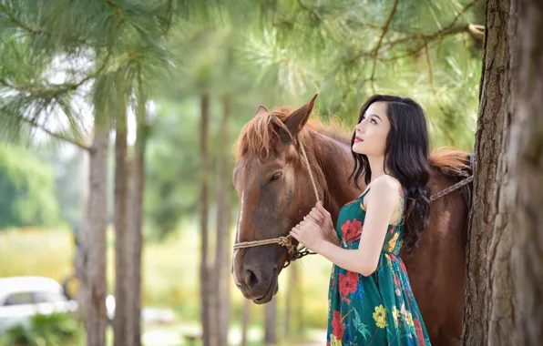 Summer, trees, face, horse, hair, dress, Asian