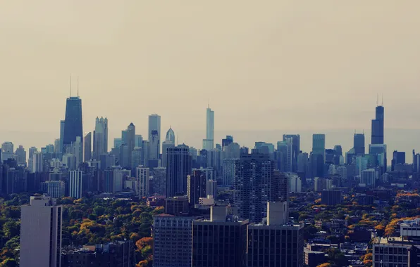 Skyscrapers, morning, Chicago, USA, Chicago, megapolis, illinois
