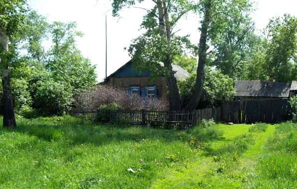 Picture summer, nature, village, Mizonovo