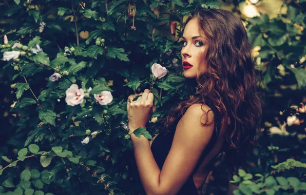 Picture hair, model, beauty, face, look, flowers