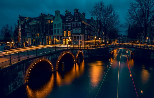 The sky, trees, line, landscape, night, bridge, lights, glare