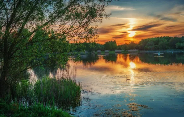 Landscape, nature, lake, beauty