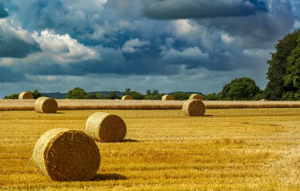 Field, clouds, hay, bales, straw, bales