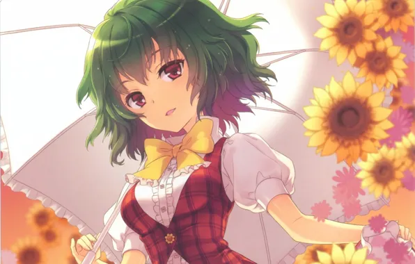 Sunflowers, umbrella, bow, green hair, touhou, art, kazami yuuka, an2a