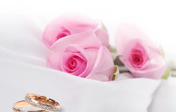 Flowers, roses, fabric, flowers, engagement rings, roses, cloth, wedding rings