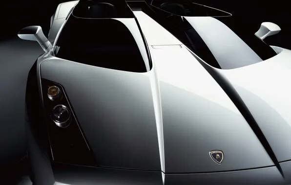 White, lamborghini, 2005, concept s