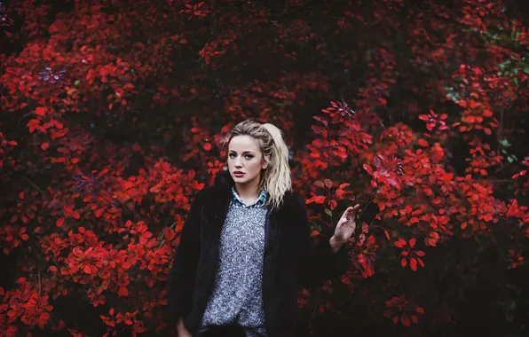 Look, portrait, red leaves, RED