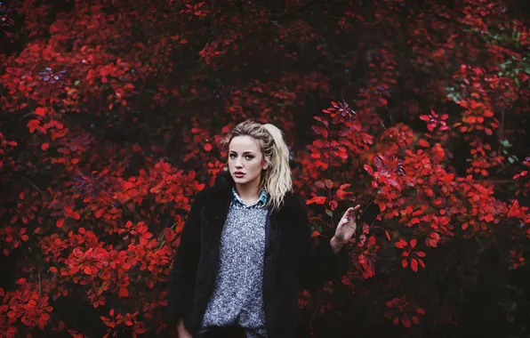 Picture look, portrait, red leaves, RED