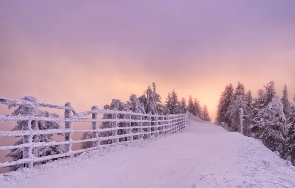 Picture winter, road, snow, trees, sunset, the fence, Romania, Romania