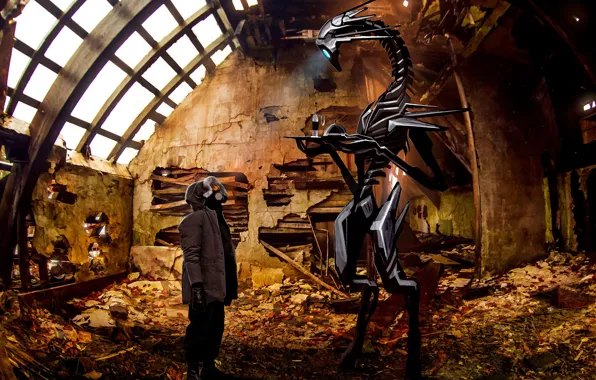 Romantically apocalyptic, the refreshments, shall i serve