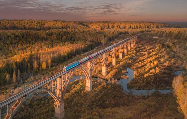 Picture autumn, train, railroad, Sergey Krylov