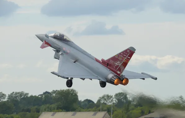 Fighter, multipurpose, Typhoon, FGR4