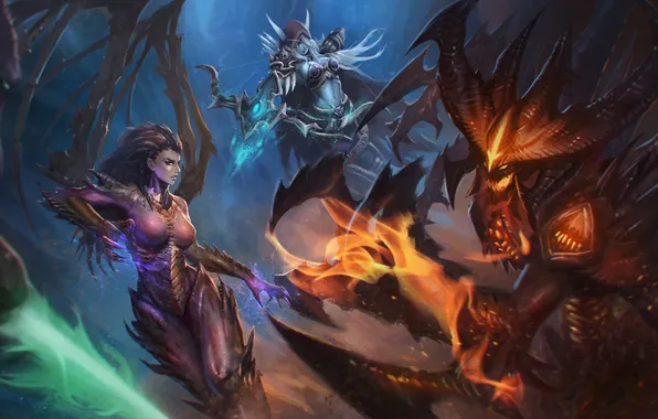 Chest, girl, elf, body, Tits, starcraft, beauty, diablo