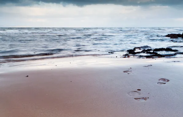 Sea, the sky, sunset, traces