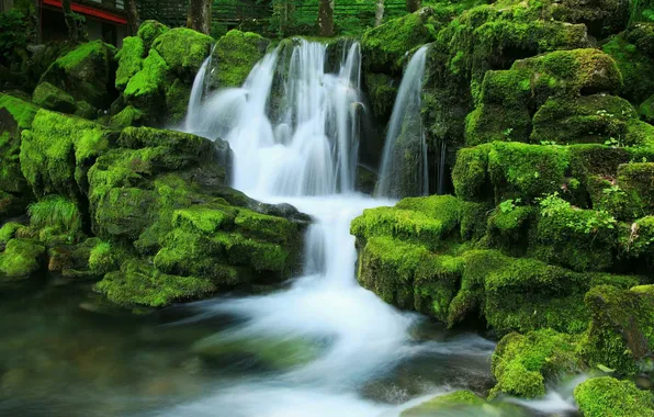 Nature, stones, waterfall, moss