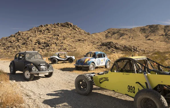 Mexico, Mexico, rally, Baja 1000, Volkswagen, Desert Race, 2017, Wolkswagen