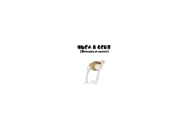 Picture BACKGROUND, WHITE, OSTRICH, LEFT