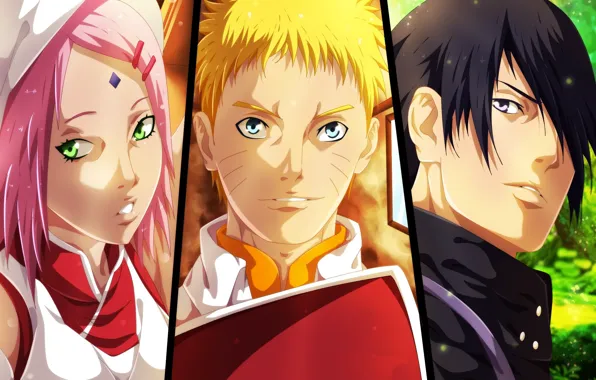 Sasuke, Naruto, Sakura, hero, hokage, Uchiha Sasuke, shinobi, Haruno Sakura