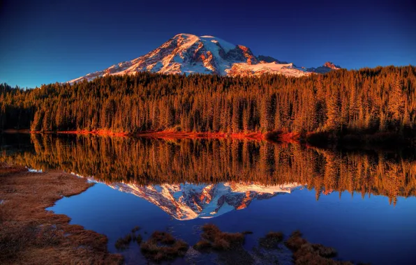 Forest, mountains, lake, reflection