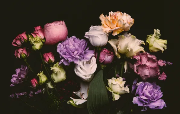Flowers, roses, colorful, black background, black, flowers, background, roses