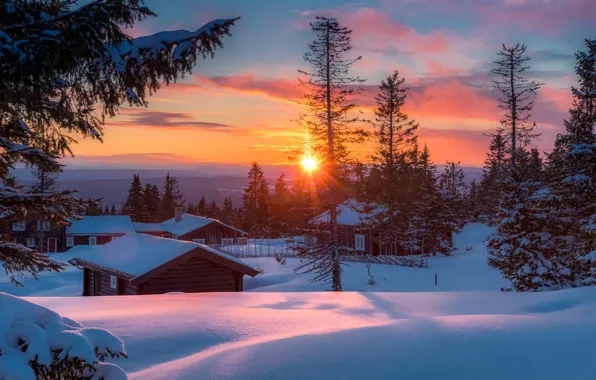 Winter, the sun, snow, trees, landscape, sunset, nature, home