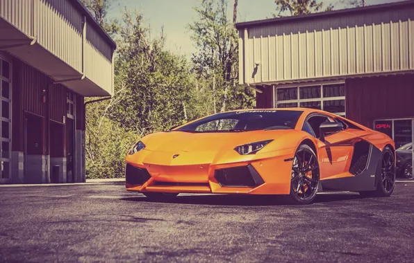 Picture Lamborghini, Lamborghini, Orange, LP700-4, Aventador, Aventador, Asphalt