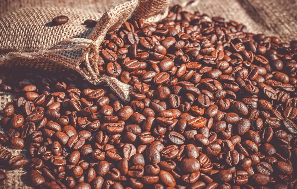 Coffee, coffee beans, Bag